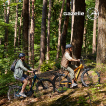 VTC élec. - Gazelle Medeo T9/T10