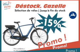 Promo : déstockage Gazelle (-15%)